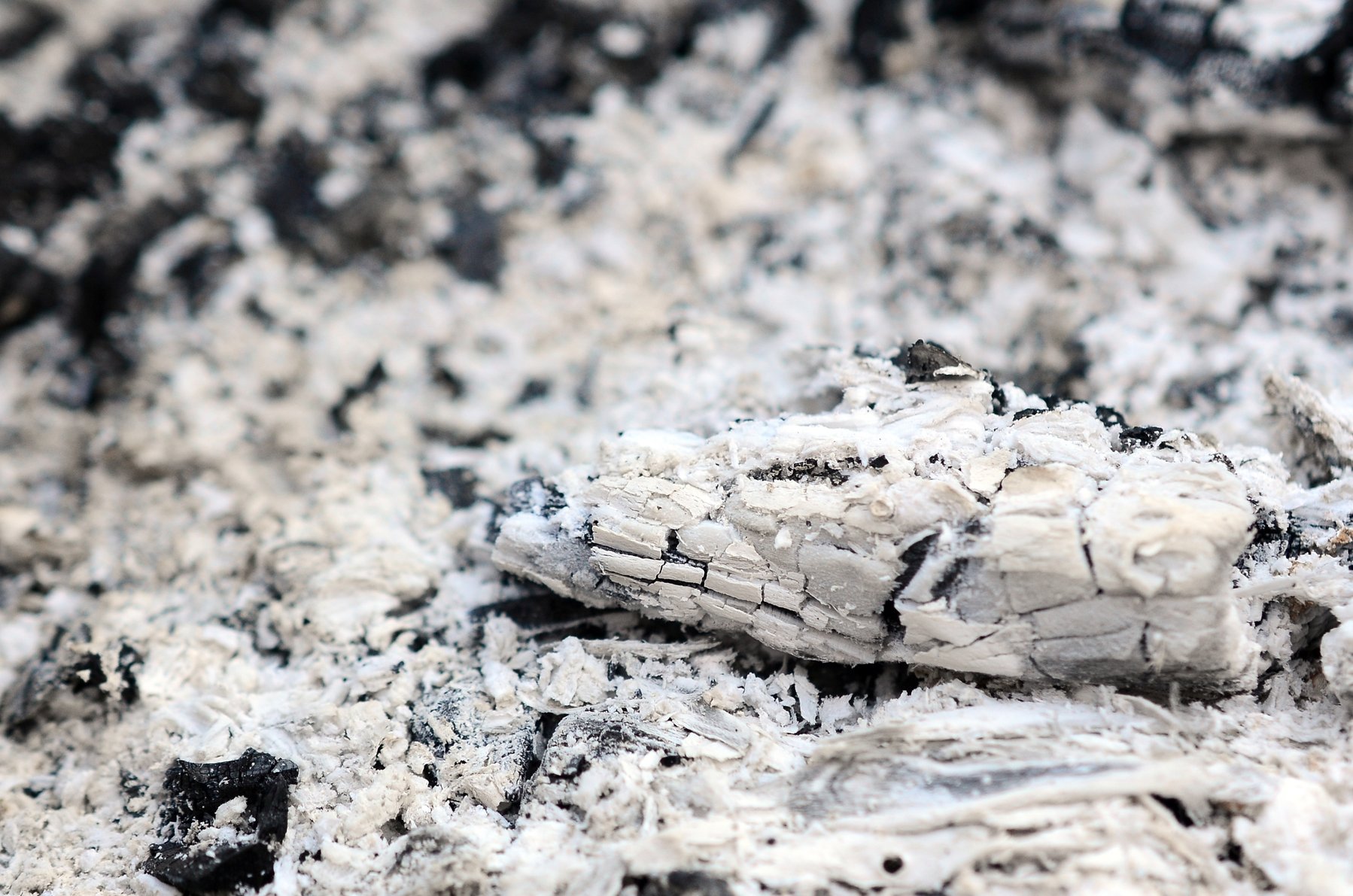 Best Ash Vacuums of 2023