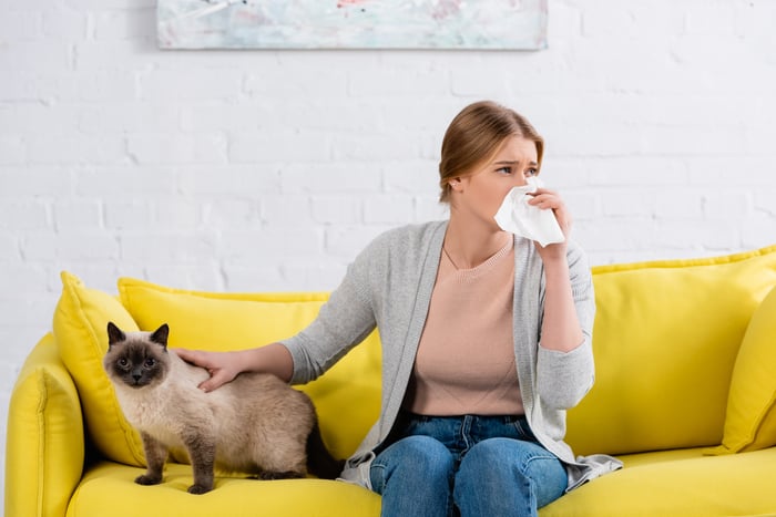FAQS allergy sufferers